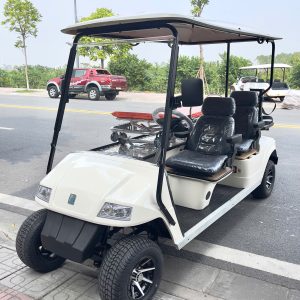 Xe Điện Chở Bệnh Nhân EAGLE Model EG2048TB1
