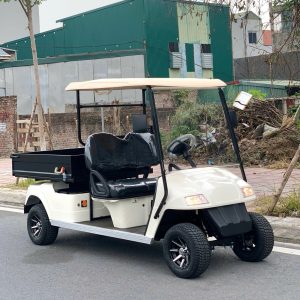 Xe Điện Chở Hàng Thùng Lửng EAGLE