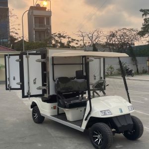 Xe Điện Chở Hàng Thùng Kín EAGLE